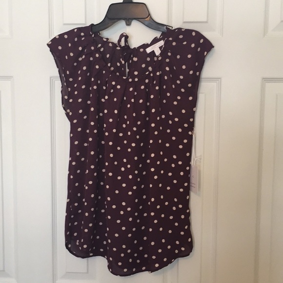 LC Lauren Conrad Tops - 🆕 Lauren Conrad plum polka dot blouse